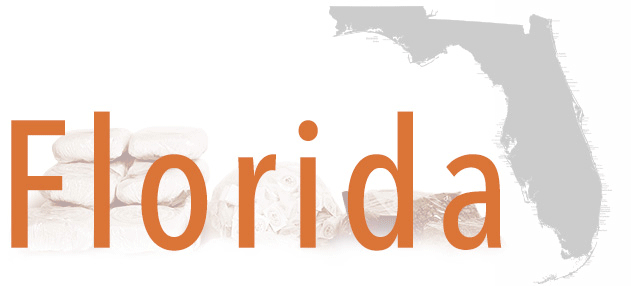 trafficking in florida