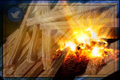 The Kindling Effect and Addiction