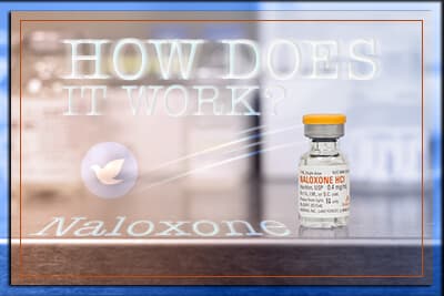 How Does Naloxone Work?