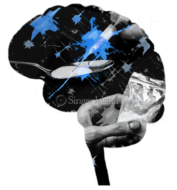 drugs and the brain