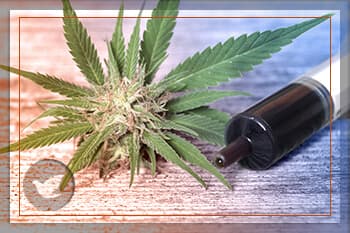 How to identify marijuana and hash
