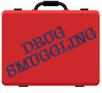 Drug smuggling tampa