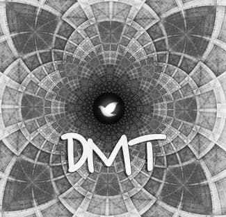 The High from DMT