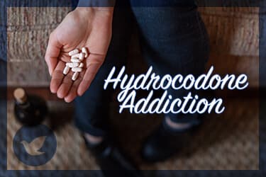 Finding Help for Hydrocodone Addiction