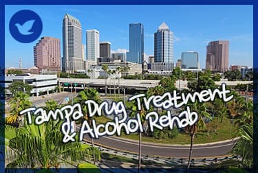 Tampa, FL, Drug Treatment and Alcohol Rehab Information
