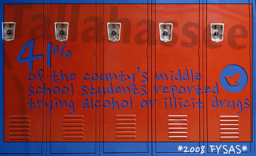 Tallahassee, FL, Drug Treatment and Alcohol Rehab Information