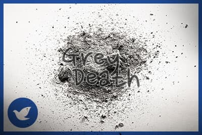 What is grey death?