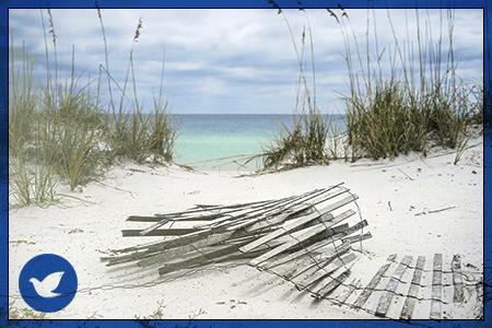 Pensacola, FL, Drug Treatment and Alcohol Rehab Information