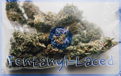 Fentanyl-Laced Marijuana