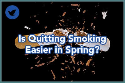 cigarette explosion wordless no smoking sign, isolated on black