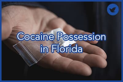 Mans hand holding on palm plastic packet with cocaine powder