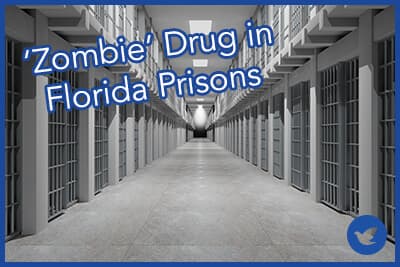 Rows of prison cells, prison interior.